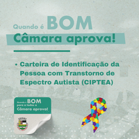 Câmara aprova criação da Carteira de Identificação da Pessoa com Transtorno de Espectro Autista