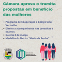 Câmara aprova e tramita propostas em benefício das mulheres Câmara aprova e tramita propostas em benefício das mulheres