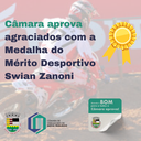 Câmara define homenageados com a Medalha do Mérito Desportivo Swian Zanoni Câmara define homenageados com a Medalha do Mérito Desportivo Swian Zanoni