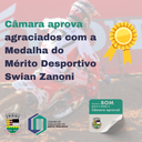 Câmara define homenageados com a Medalha do Mérito Desportivo Swian Zanoni