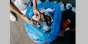 Câmara Municipal aprova Criação de Programa de Coleta de Lixo com Inclusão Social