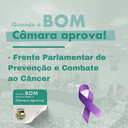 Câmara pode ganhar Frente Parlamentar de Prevenção e Combate ao Câncer Câmara pode ganhar Frente Parlamentar de Prevenção e Combate ao Câncer