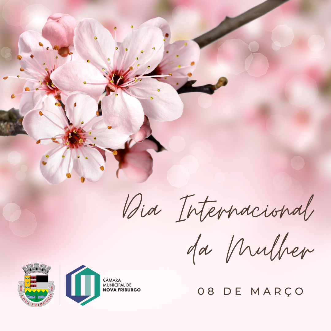 Câmara promove eventos pelo Dia Internacional da Mulher