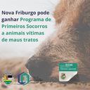 Câmara propõe Programa de Primeiros Socorros a animais vítimas de maus tratos