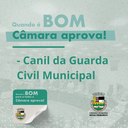 Guarda Civil Municipal pode ganhar reforço de cães em operações Guarda Civil Municipal pode ganhar reforço de cães em operações